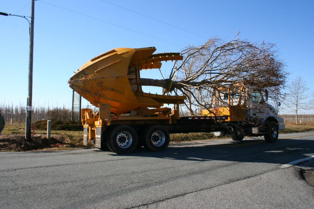 Spades Make It A Cinch Moon Nurseries