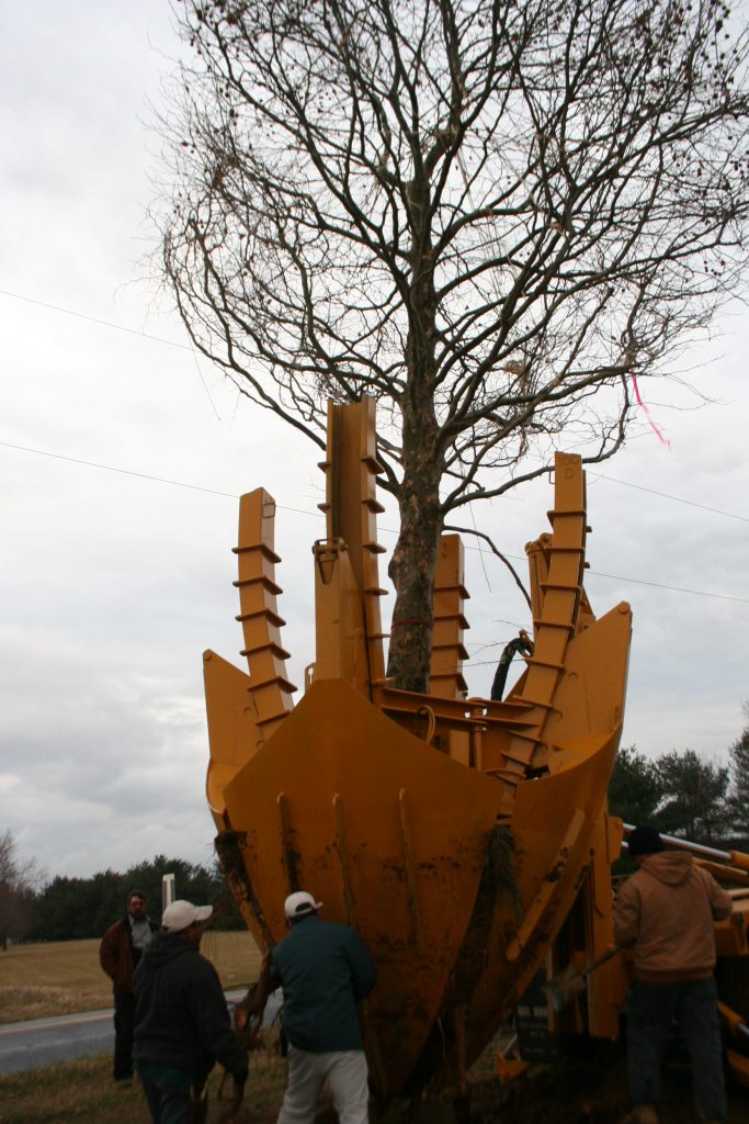 Spades Make It A Cinch Moon Nurseries